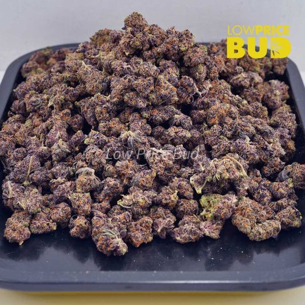 Buy Hindu Kush (AAAA) – Popcorn Nugs online Canada