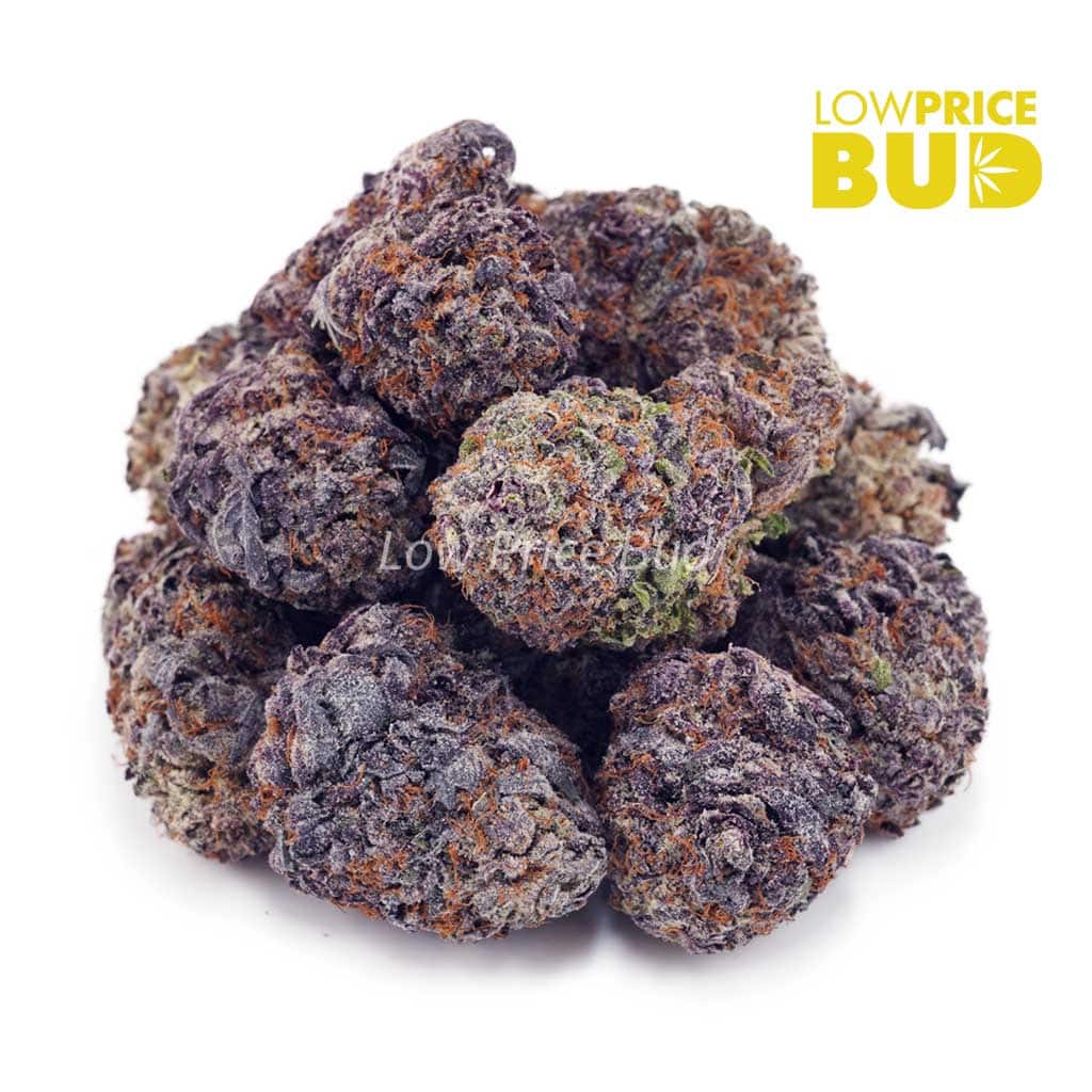 Buy Grape Gelato (AAAA) online Canada