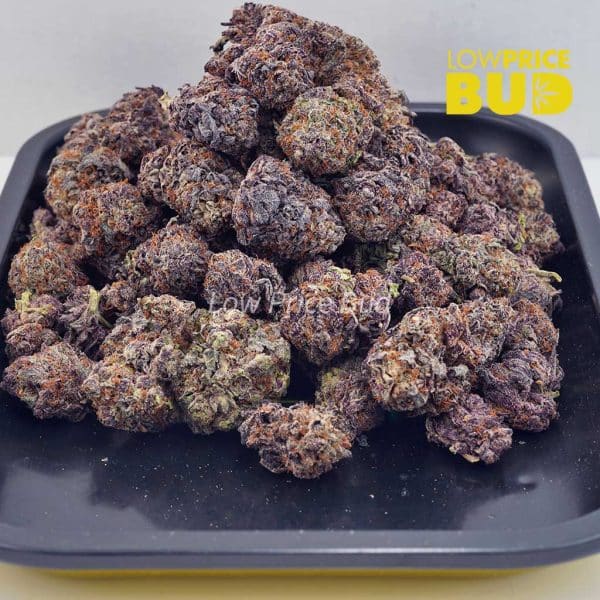Buy Grape Gelato (AAAA) online Canada