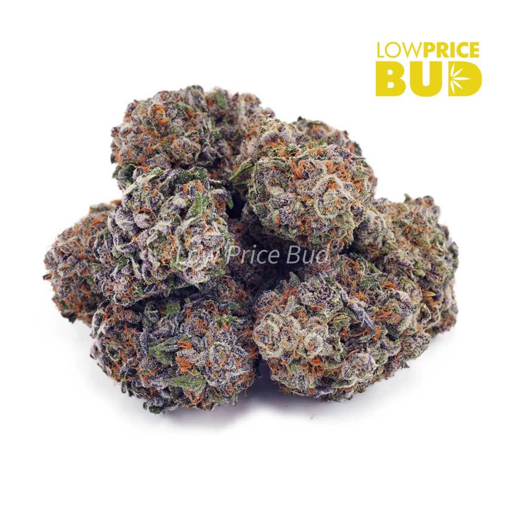 Buy Purple Urkle (AAAA) online Canada