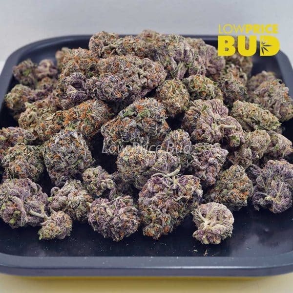 Buy Purple Urkle (AAAA) online Canada
