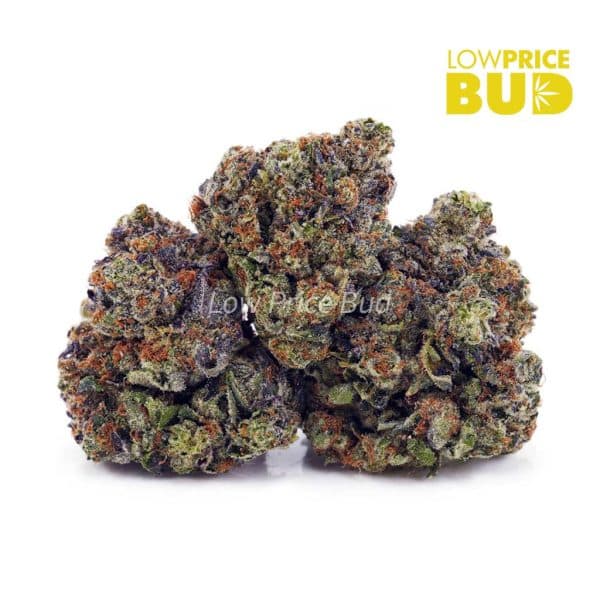 Buy Supreme Pineapple Cake (AAAA) online Canada