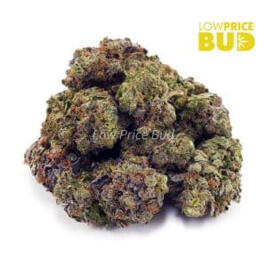 Buy Supreme Pineapple Cake (AAAA) online Canada