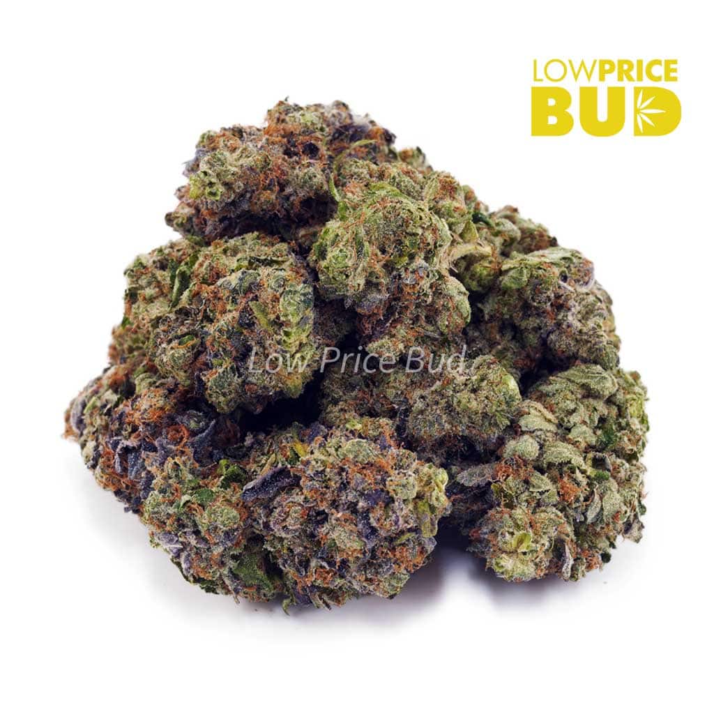 Buy Supreme Pineapple Cake (AAAA) online Canada