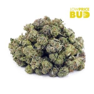 Buy Platinum Bubba (AAAA) – Popcorn Nugs online Canada