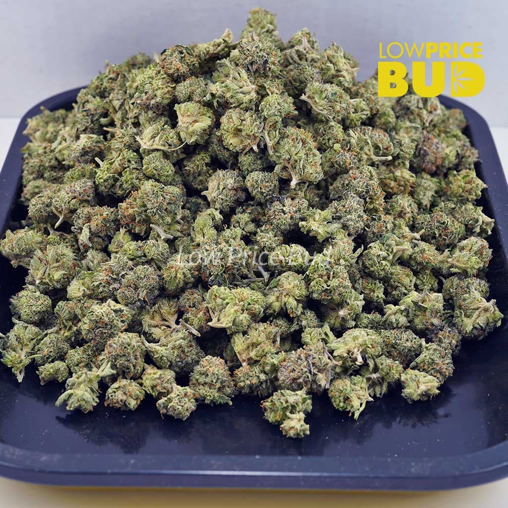 Buy Platinum Bubba (AAAA) – Popcorn Nugs online Canada