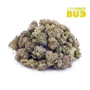 Buy Frosted Donut (AAAA) – Popcorn Nugs online Canada