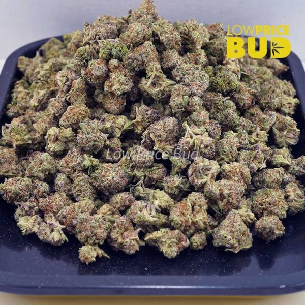 Buy Frosted Donut (AAAA) – Popcorn Nugs online Canada