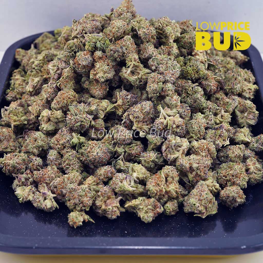 Buy Frosted Donut (AAAA) – Popcorn Nugs online Canada