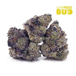 Buy Build Your Own Oz 4 x 7g online Canada