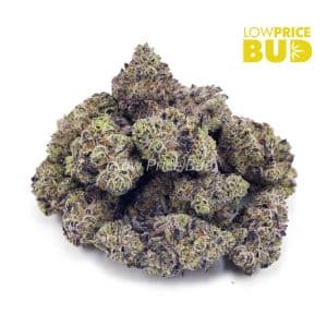 Buy Berry Gelato (AAAA) online Canada