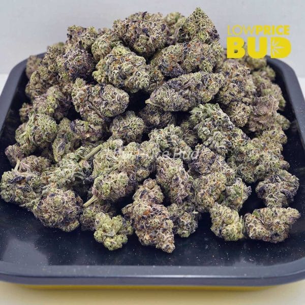 Buy Berry Gelato (AAAA) online Canada