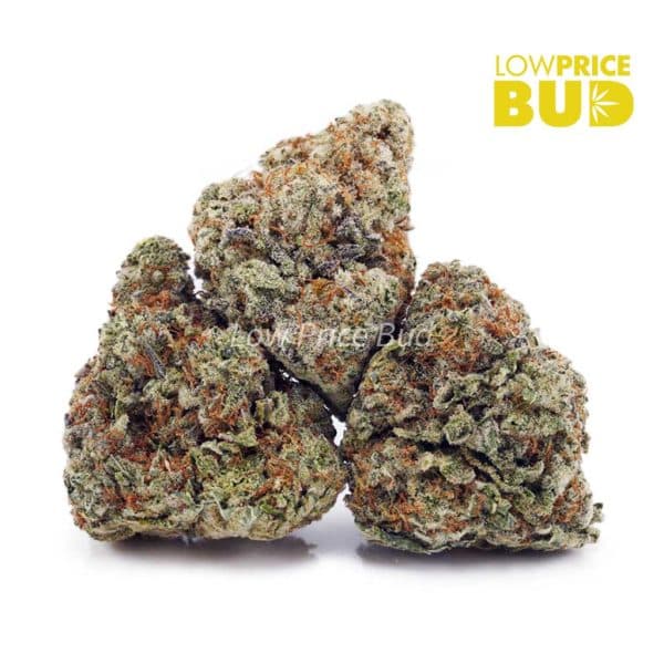 Buy Khalifa Cookies (AAAA) online Canada