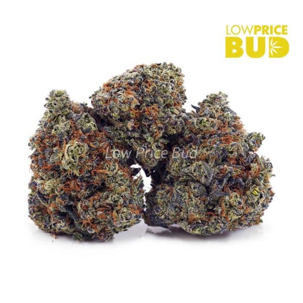 Buy Oreoz Cake (Craft Cannabis) online Canada