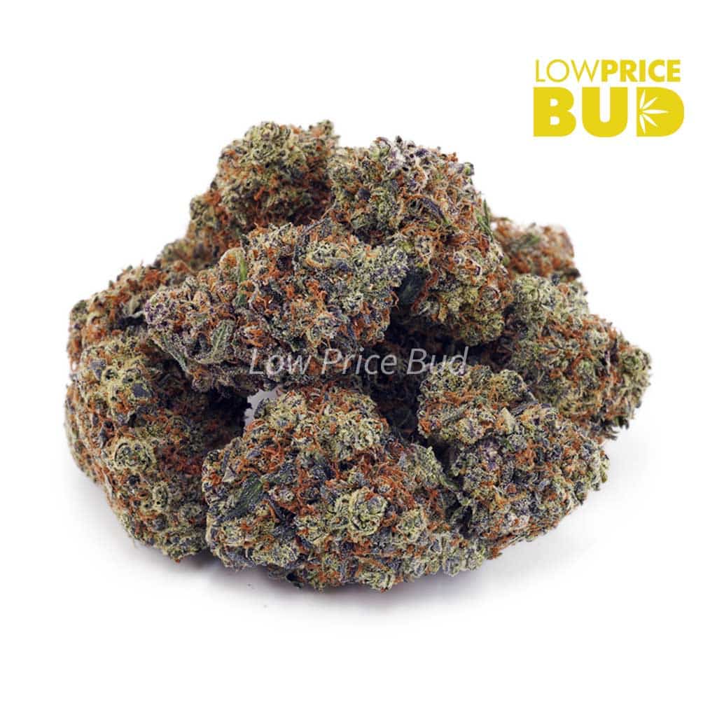Buy Oreoz Cake (Craft Cannabis) online Canada