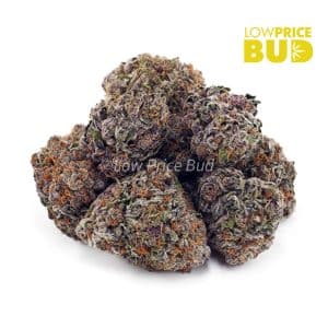 Buy Chocolate Kush Mintz (Craft Cannabis) online Canada