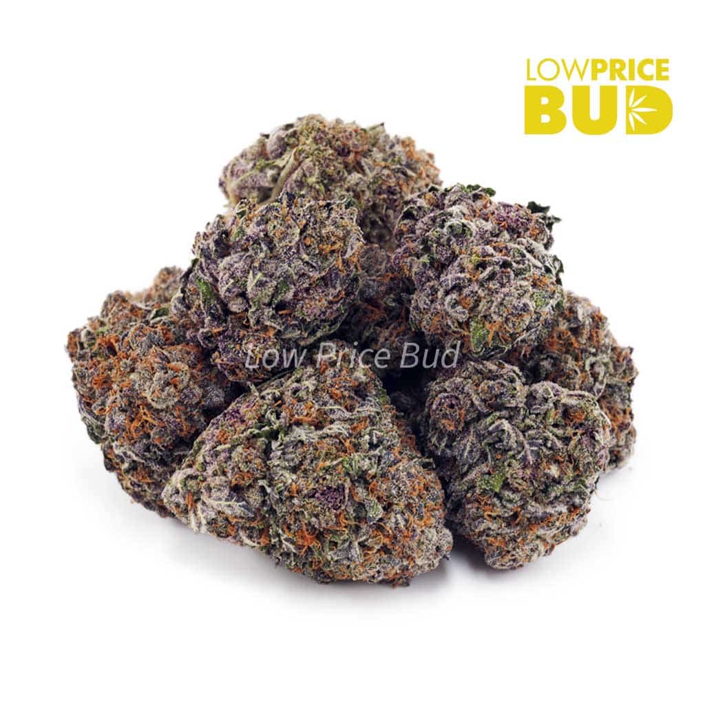 Buy Chocolate Kush Mintz (Craft Cannabis) online Canada