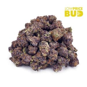 Buy Watermelon Punch (AAAA) – Popcorn Nugs online Canada