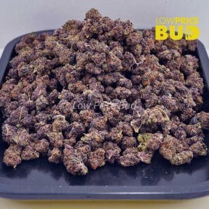 Buy Watermelon Punch (AAAA) – Popcorn Nugs online Canada
