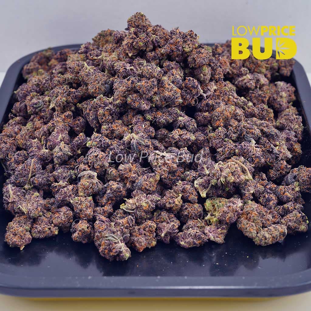 Buy Watermelon Punch (AAAA) – Popcorn Nugs online Canada