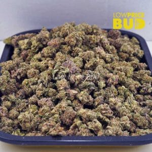 Buy Kiwi Punch (AAAA) – Popcorn Nugs online Canada