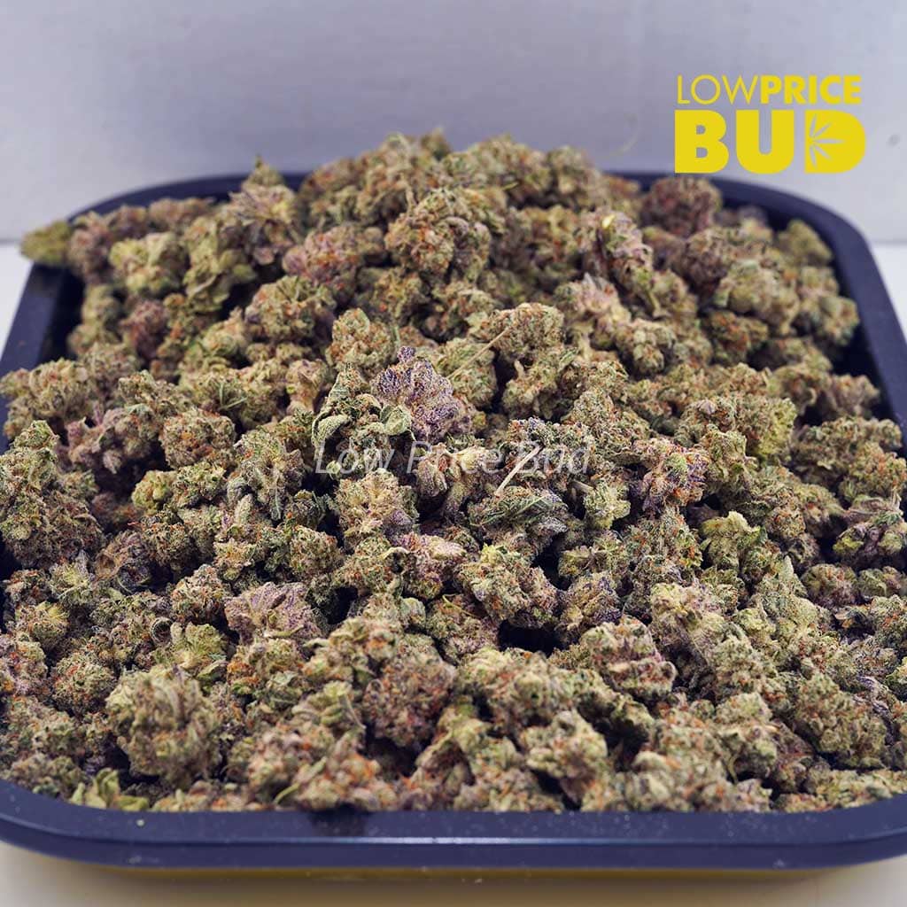 Buy Kiwi Punch (AAAA) – Popcorn Nugs online Canada