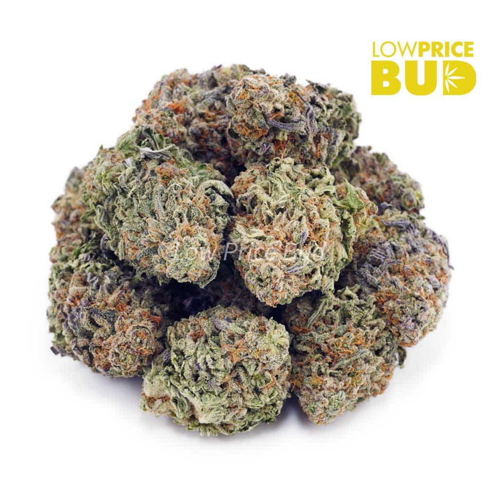 Buy Pineapple Creamsicle (AAAA) online Canada