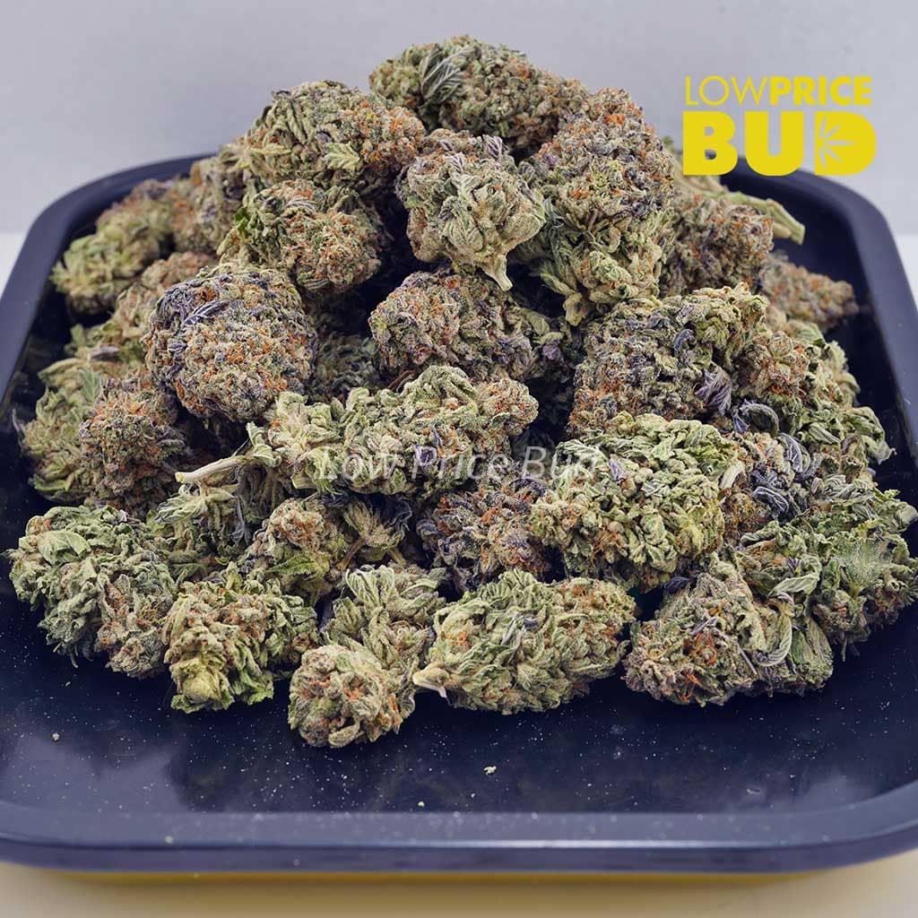 Pineapple Creamsicle (AAAA) Buy Pineapple Creamsicle (AAAA) online Canada