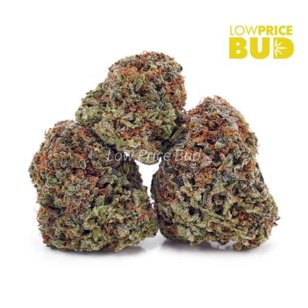 Buy Gorilla Cookies (AAAA) online Canada