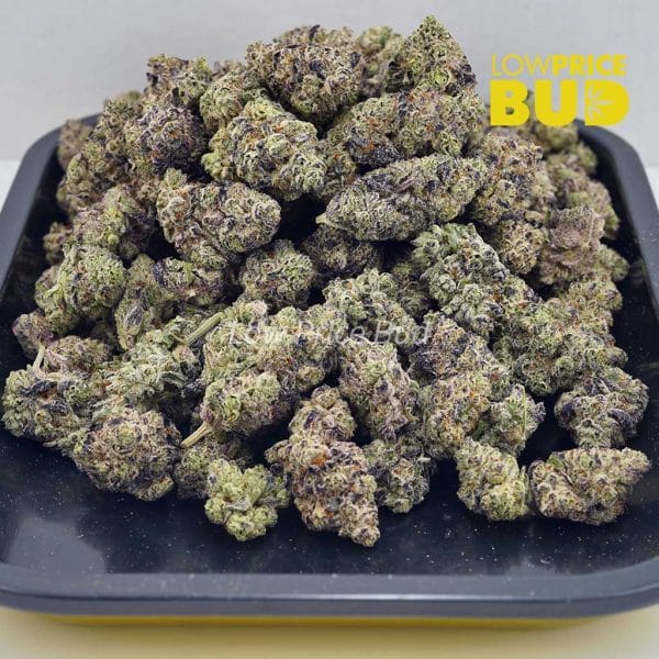 Buy Purple Dream (AAAA) online Canada