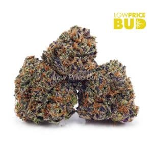 Buy Pink Goo (AA) online Canada