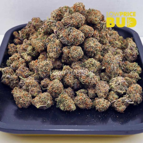 Buy Pink Goo (AA) online Canada