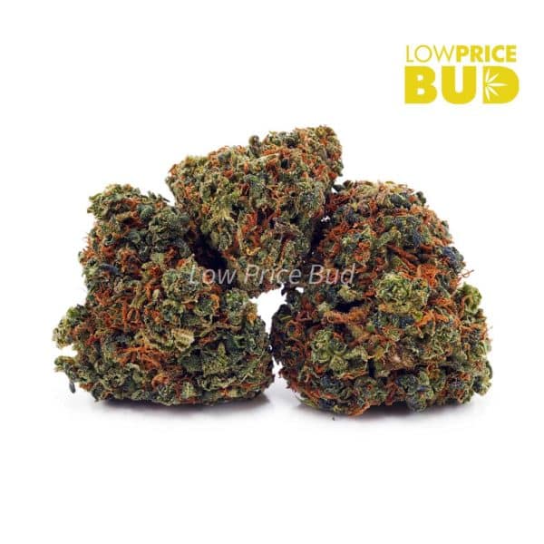 Buy OG Kush (AA) online Canada