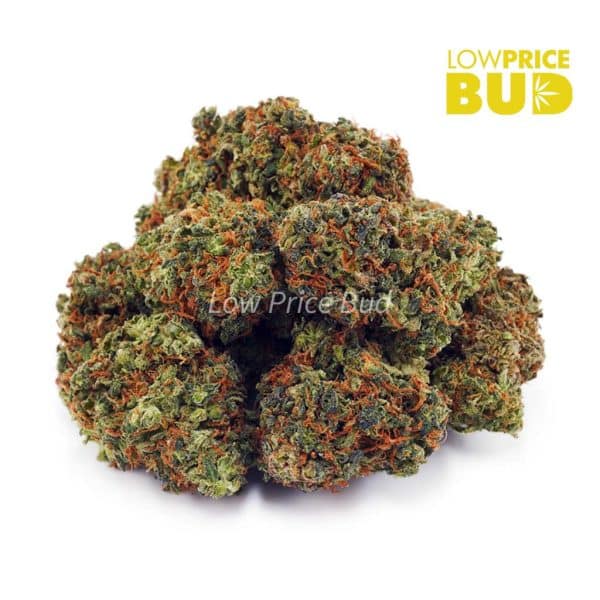 Buy OG Kush (AA) online Canada