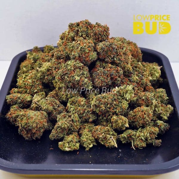 Buy OG Kush (AA) online Canada