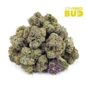 Buy Animal Crackers (AAAA) – Popcorn Nugs online Canada