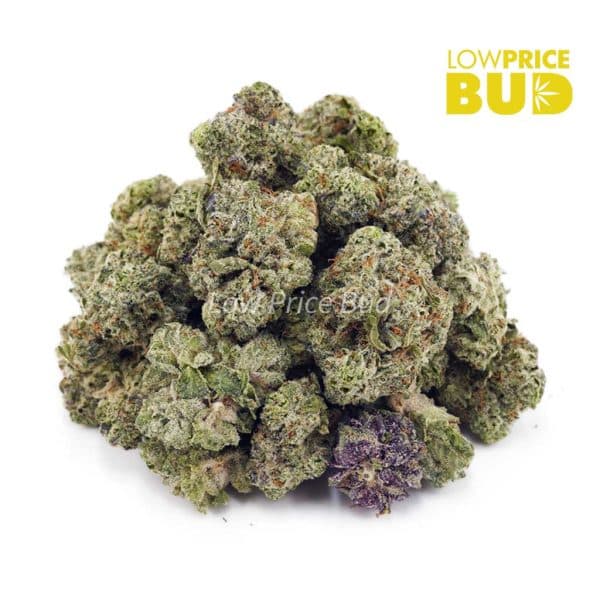 Buy Animal Crackers (AAAA) – Popcorn Nugs online Canada