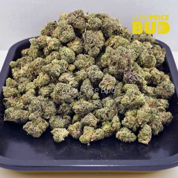 Buy Animal Crackers (AAAA) – Popcorn Nugs online Canada