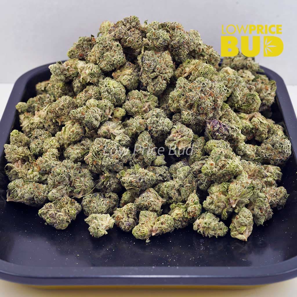 Buy Animal Crackers (AAAA) – Popcorn Nugs online Canada