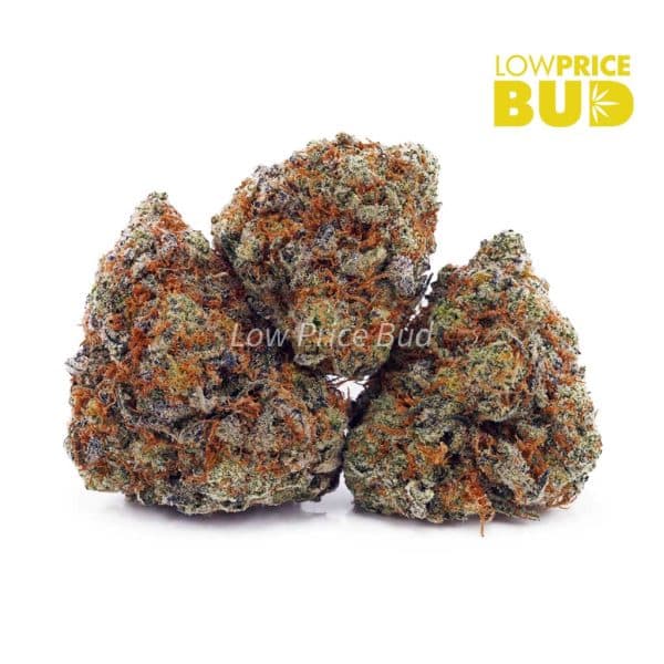 Buy GMO Cookies (AA) online Canada