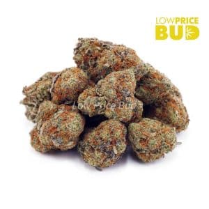 Buy GMO Cookies (AA) online Canada