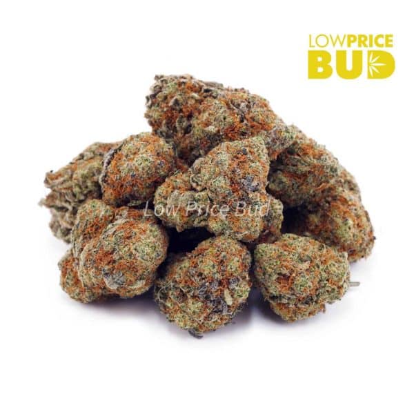 Buy GMO Cookies (AA) online Canada