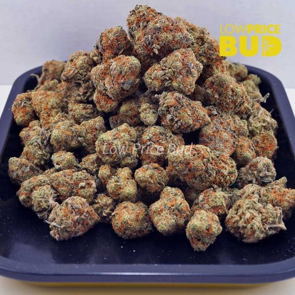Buy GMO Cookies (AA) online Canada