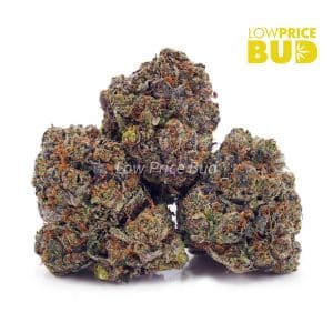 Buy Tom Ford Pink Kush (Craft Cannabis) online Canada