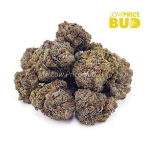Buy Tom Ford Pink Kush (Craft Cannabis) online Canada