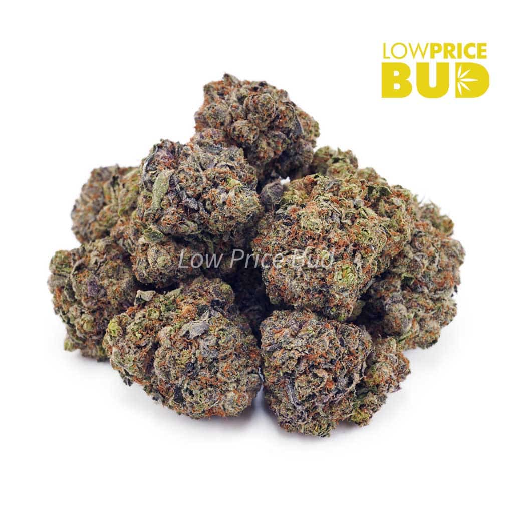 Buy Tom Ford Pink Kush (Craft Cannabis) online Canada
