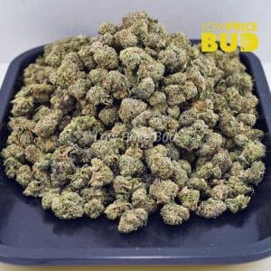 Buy Peach and Cream (AAAA) – Popcorn Nugs online Canada
