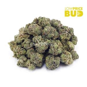 Buy Platinum Kush (AAAA) – Popcorn Nugs online Canada