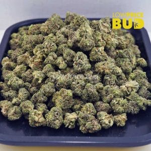 Buy Platinum Kush (AAAA) – Popcorn Nugs online Canada