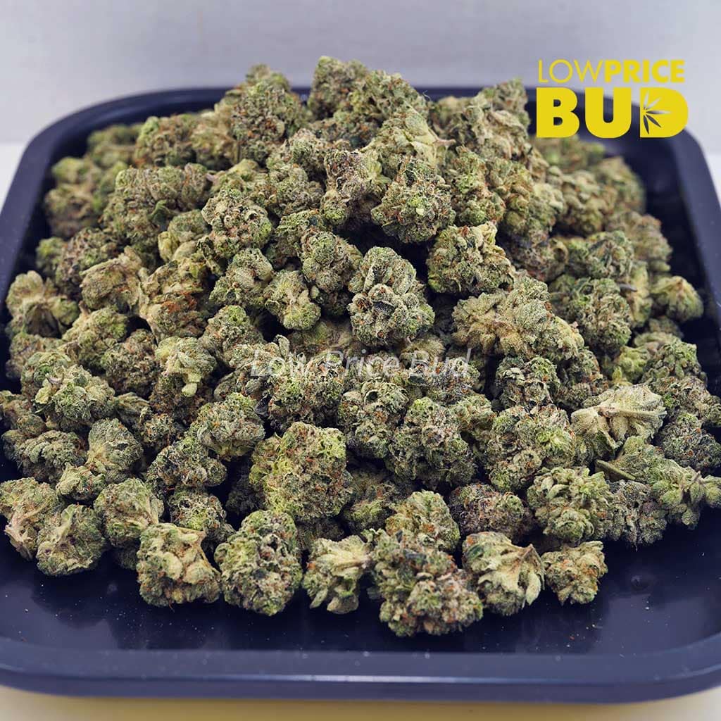 Buy Platinum Kush (AAAA) – Popcorn Nugs online Canada